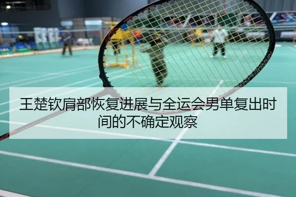 王楚钦肩部恢复进展与全运会男单复出时间的不确定观察